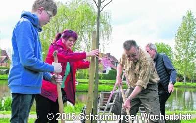 Linde am Försterteich