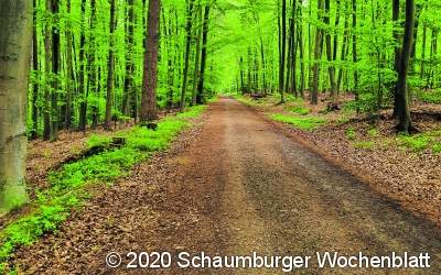 Die Bilder sind entstanden bei...