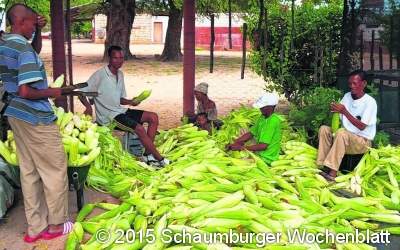 Bericht von Projekt in Namibia