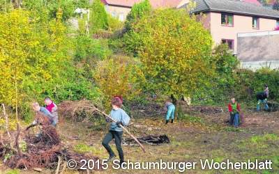 Auch ein großer  Baum muss fallen
