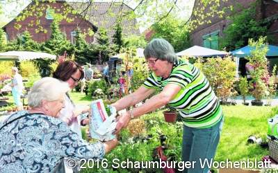 ﻿Zweiter Pflanzenmarkt kommt sehr gut an