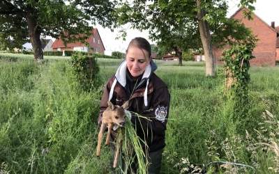 Doppelte Rehkitzrettung im Morgengrauen