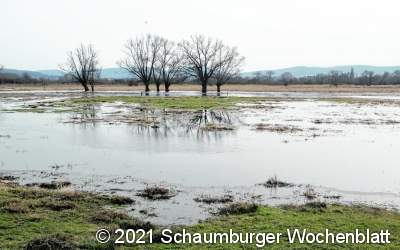 Geflügelte Boten kündigen
 den Frühling an