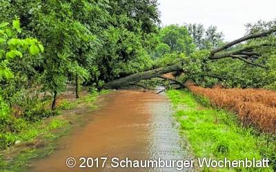Wassermengen drücken in den Keller