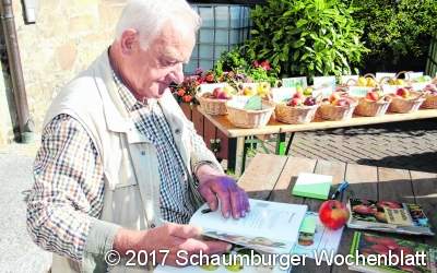 Markt macht richtig Lust auf Äpfel