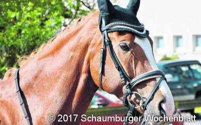 Zahlreiche Erfolge von  Schaumburger Reitern