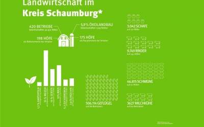 Betriebe bewirtschaften 33.000 Hektar