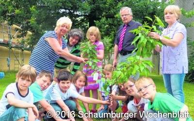 Es wächst ein süßes Symbol des Lebens