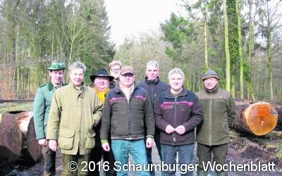 Qualitätshölzer aus dem Schaumburger Wald  erzielen Spitzenpreise bei diesjähriger Auktion