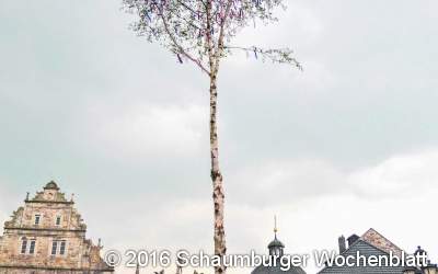 Heute Abend Maibaum richten