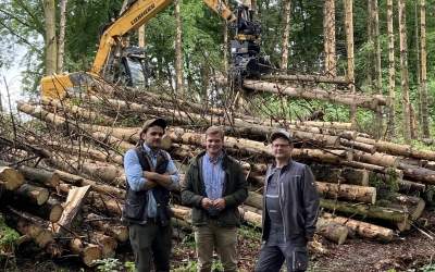 Totholz wird geborgen