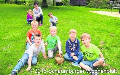 Heimische Wildpflanzen