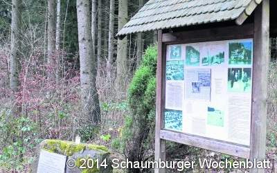 Noch steht nur ein Kreuz im Wald