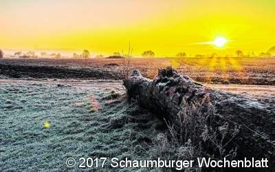 Was der christliche Glaube zur aktuellen Problematik mit der Umwelt zu sagen hat