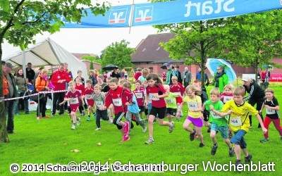 Rund 260 Läufer gehen auf die Strecke