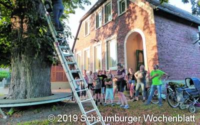 Den Nachtschwärmern auf der Spur