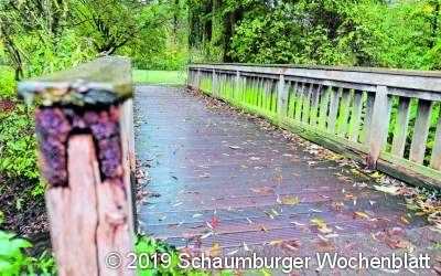Erste Umgestaltungen im Park im nächsten Jahr