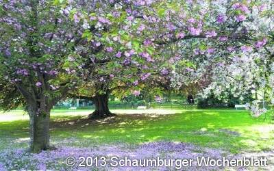Ein Genuss für die Sinne