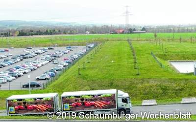 Die Wiesenpflege sollen Schafe übernehmen