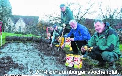 1.000 Tulpen sollen im Frühjahr erblühen