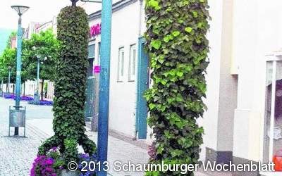 Kunst und Natur