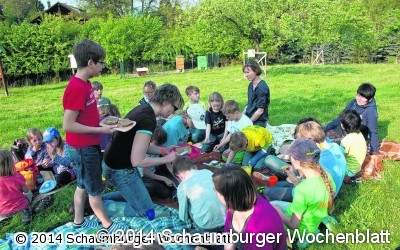 Auf enger Tuchfühlung mit Bärlauch und Waldmeister
