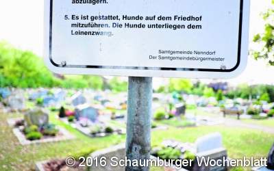 Hunde dürfen auf den Friedhof