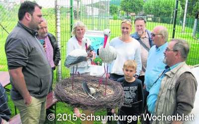 Störche machen Werbung in eigener Sache