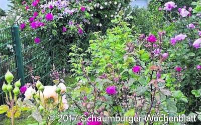 Gartenparadiese 2017