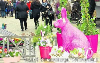 Nur Blumenpracht lässt Frühlingsgefühle aufkommen
