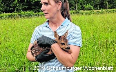Rettung kommt aus der Luft: Drohne
spürt Rehkitze in den Wiesen auf