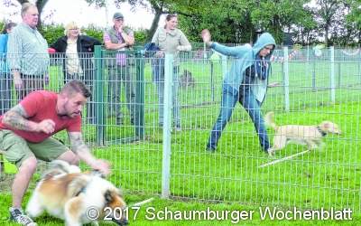Nach dem Rennen ein Häufchen