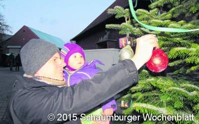 ﻿Weihnachtsbaum erstrahlt am Lindenplatz
