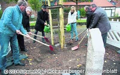 Die Eiche zur Erinnerung