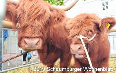 Gutes aus der Region, für die Region