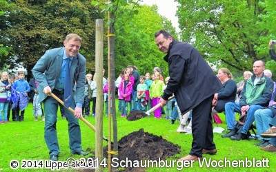 Eine Linde zum Gedenken