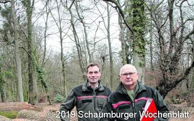 Fürstliche Braut aus Schaumburger Eiche