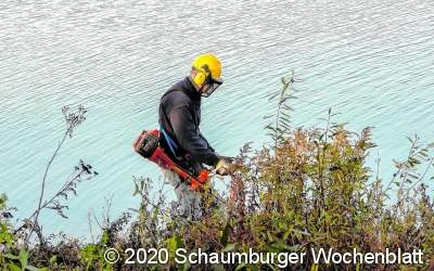 Freie Sicht für Vögel und Besucher