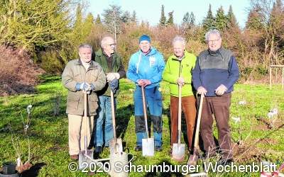 Bienenfreundliche Naschhecke für 
