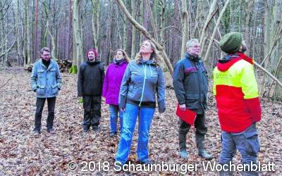 Im August heißt es, ab in den Wald