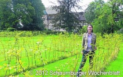 2500 Buchen wollen für Verwirrung sorgen