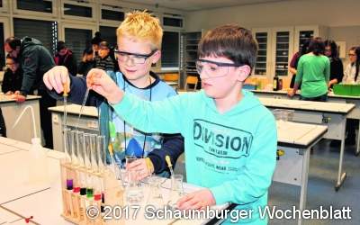 Angebotsvielfalt im Ratsgymnasium