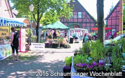 Kreativer Bauernmarkt mit regionalen Produkten