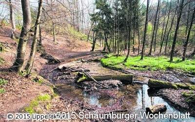 Infos zur Wasserrahmenrichtlinie