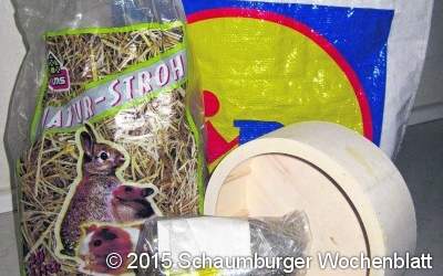 Spaziergängerin findet ausgesetzte Degus