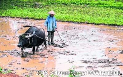 Bilder und Geschichten aus Vietnam