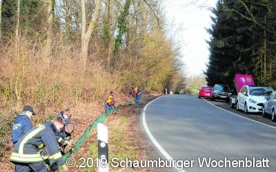 Bei Wiersen wandern schon die Kröten