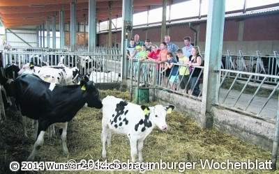 Ferienspaßkinder besuchen Landwirte