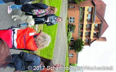 Ideen sammeln sich