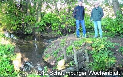 Totholz soll für mehr Leben im Wasser sorgen